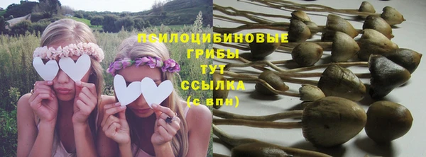 гашиш Богородицк