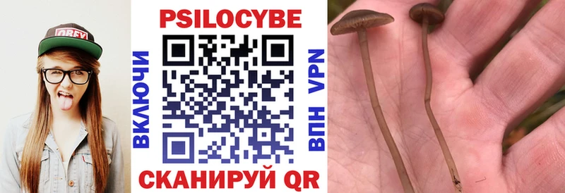 как найти закладки  Верещагино  Галлюциногенные грибы мухоморы 